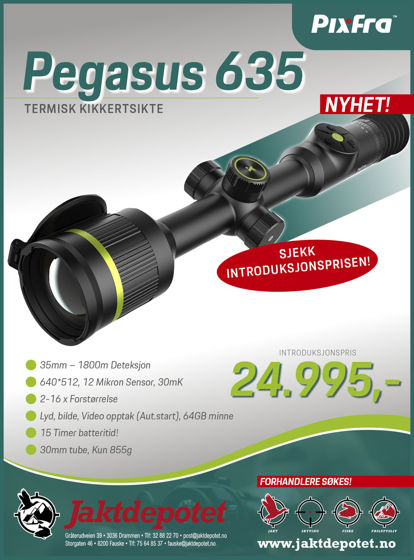 Bilde av Pixfra Pegasus PFI-P635